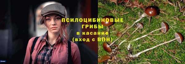 apvp Балахна