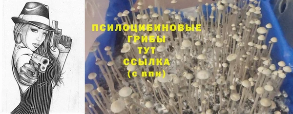 apvp Балахна