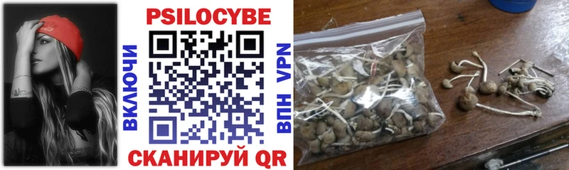 Галлюциногенные грибы мицелий  Чудово 